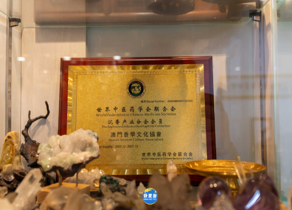 1770025852212460.png image.png